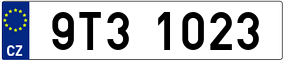 Truck License Plate